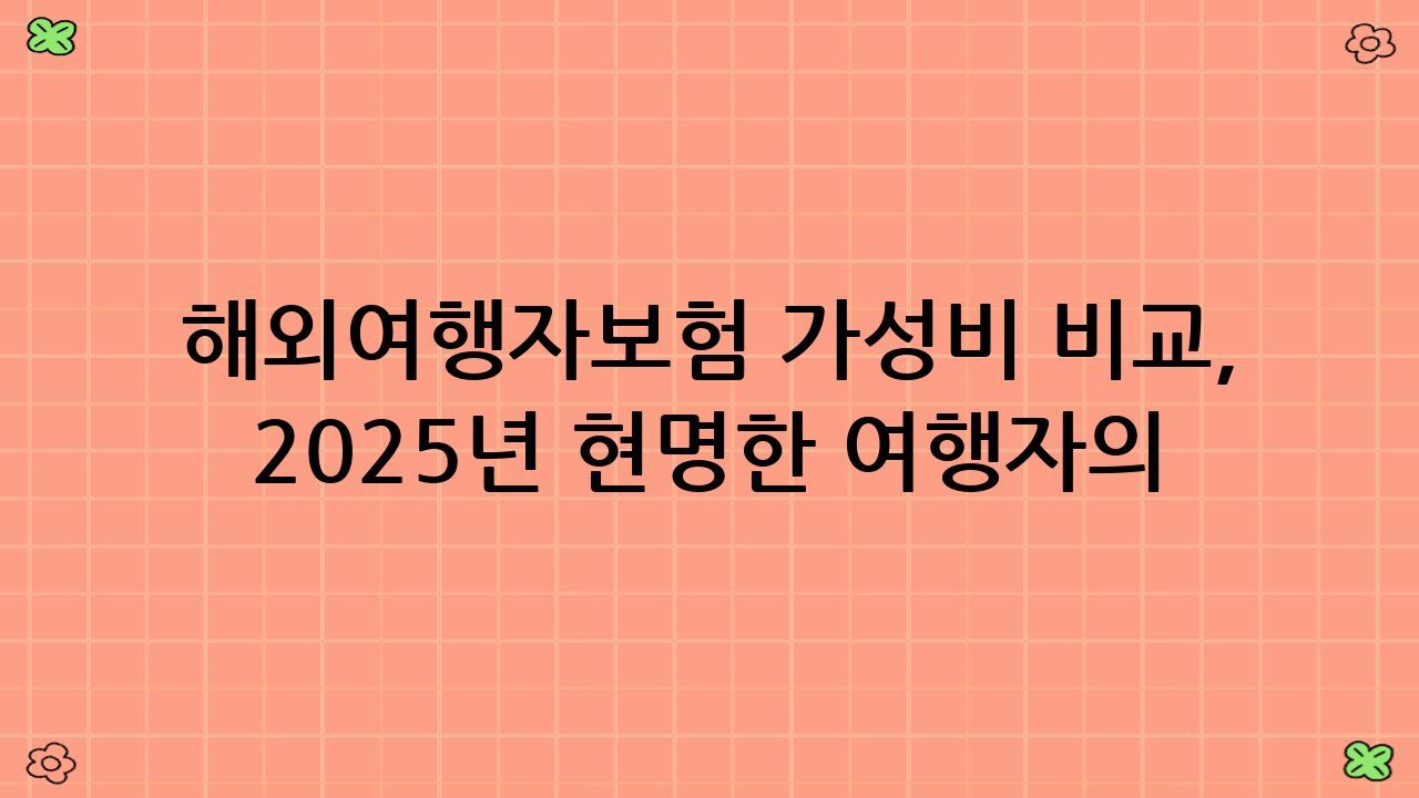 해외여행자보험 가성비 비교, 2025년 현명한 여행자의 필수 준비물!