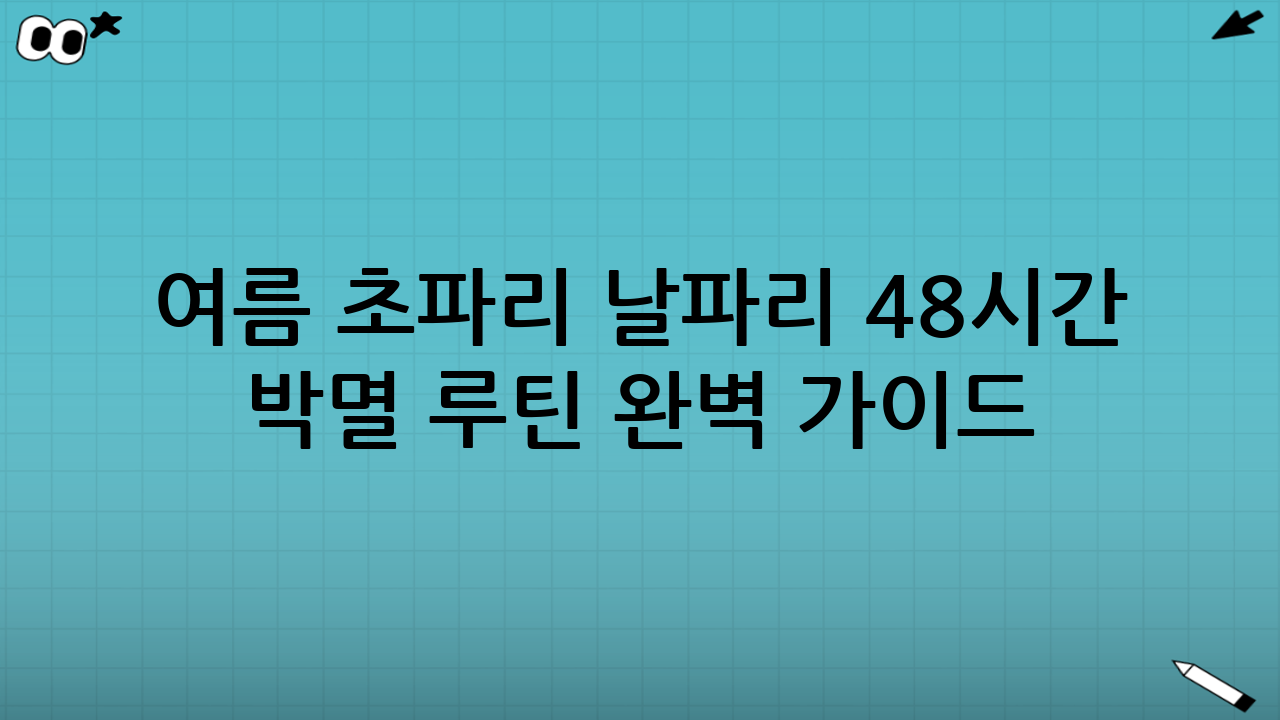 여름 초파리 날파리 48시간 박멸 루틴 완벽 가이드: 빈틈없는 전략