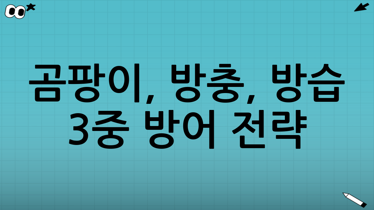 곰팡이, 방충, 방습 3중 방어 전략: 완벽한 계절 의류 보관의 핵심
