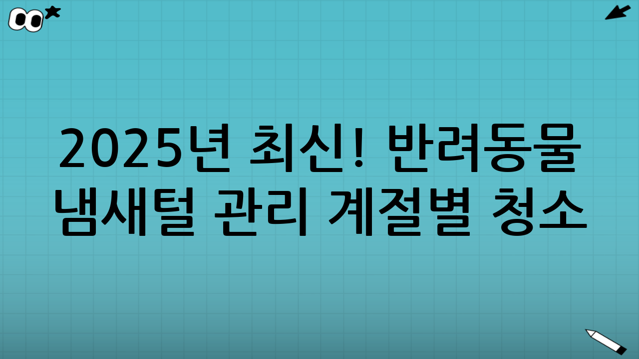 2025년 최신! 반려동물 냄새·털 관리 계절별 청소 동선 완벽 가이드