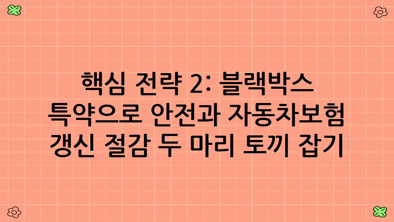 핵심 전략 2: 블랙박스 특약으로 안전과 자동차보험 갱신 절감 두 마리 토끼 잡기