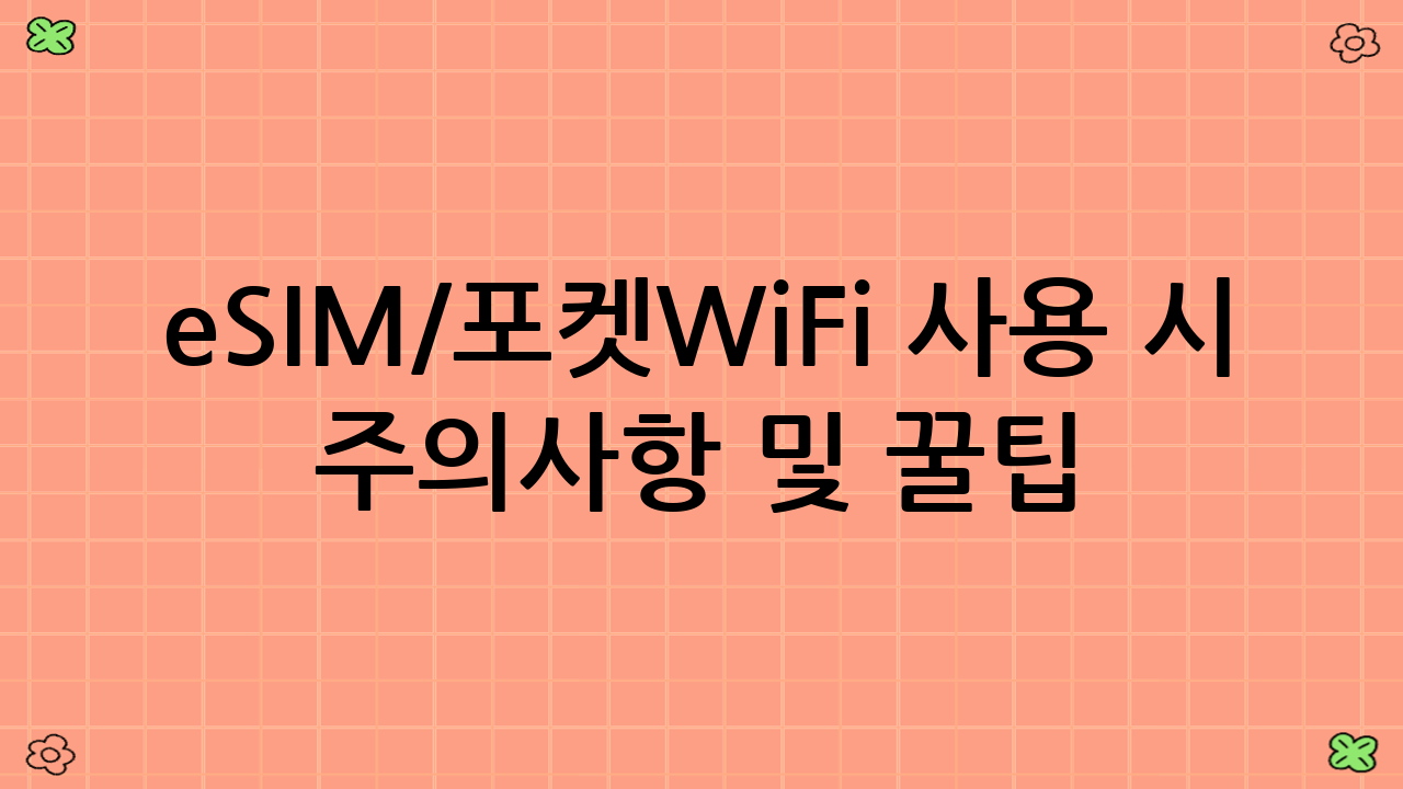 eSIM/포켓WiFi 사용 시 주의사항 및 꿀팁