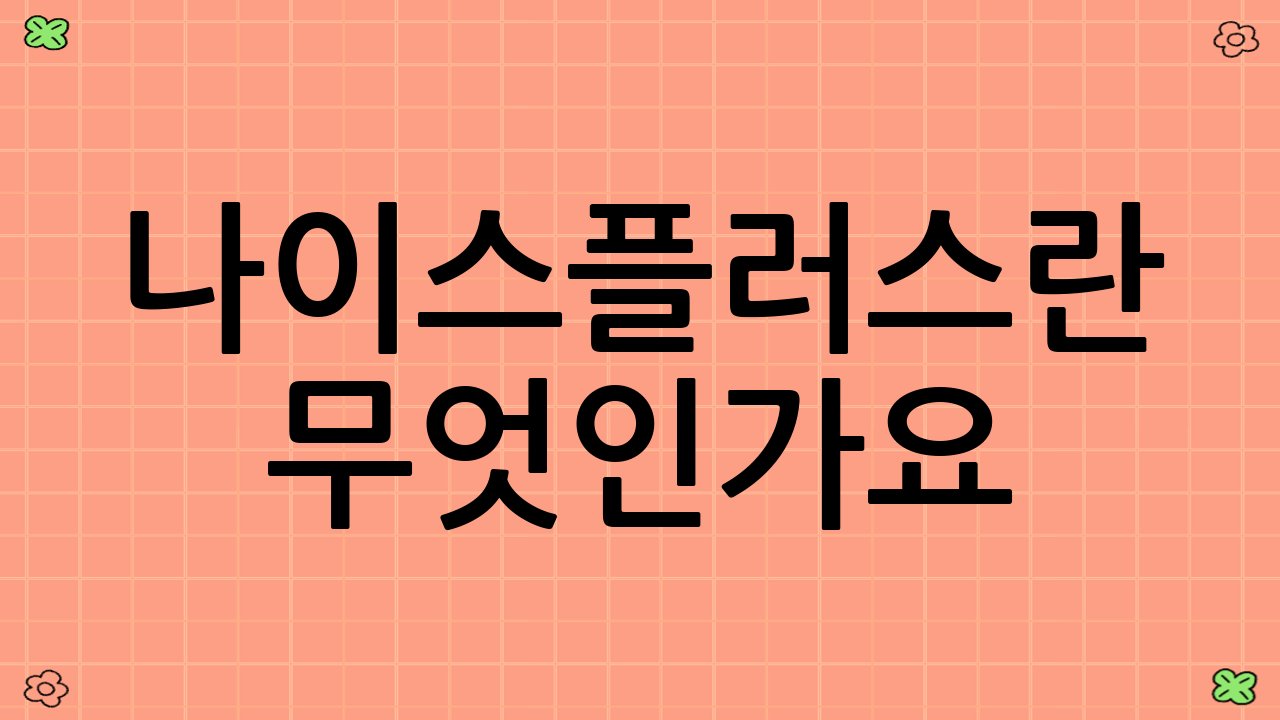 나이스플러스란 무엇인가요?