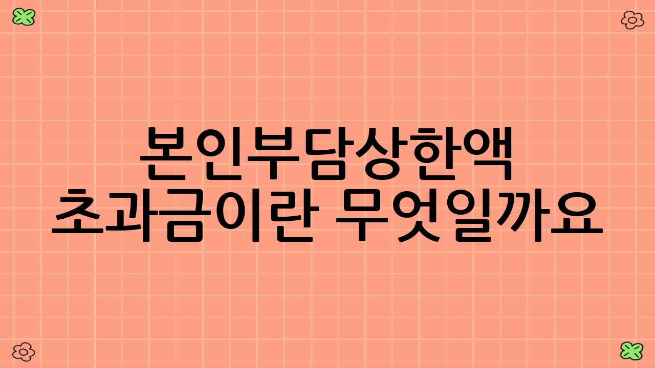 본인부담상한액 초과금이란 무엇일까요?