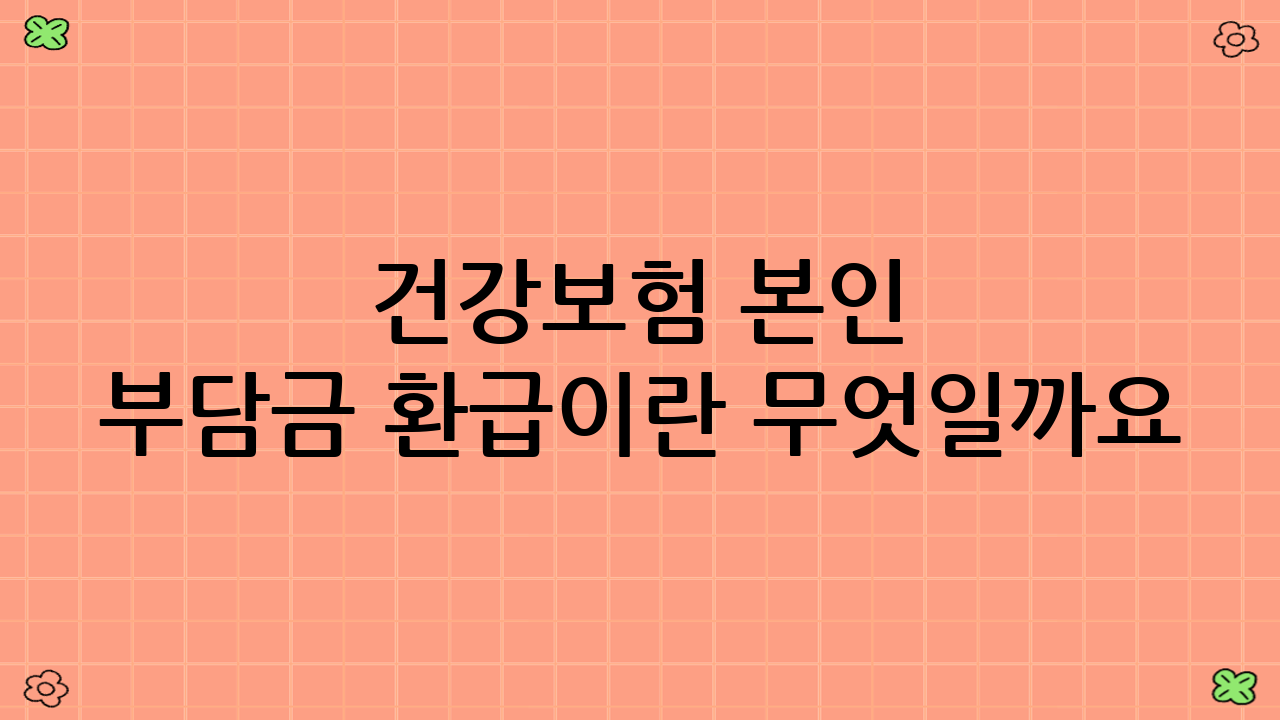 건강보험 본인 부담금 환급이란 무엇일까요?