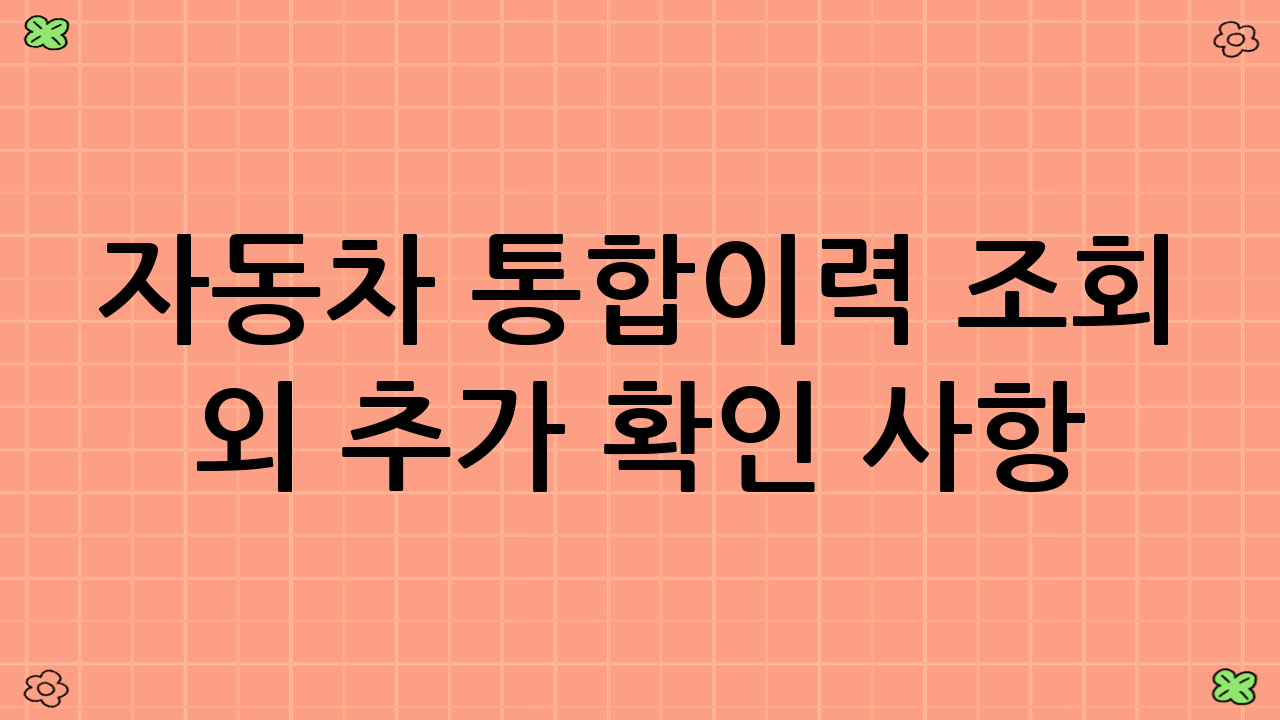 자동차 통합이력 조회 외 추가 확인 사항
