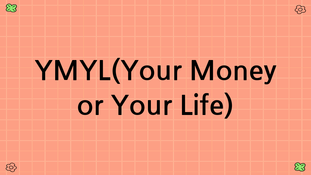 YMYL(Your Money or Your Life) 관련 면책 조항